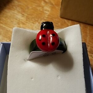Lady Bug Red Green & Black Resin Ring